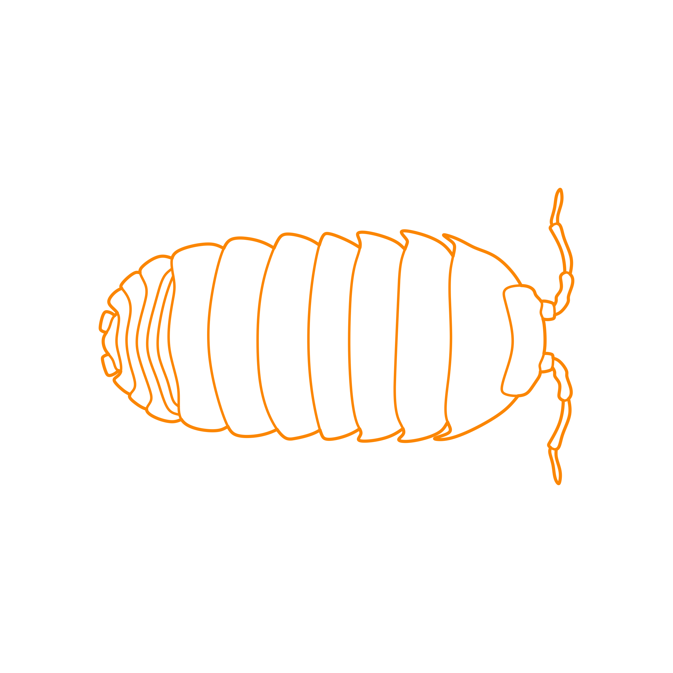 Animals Insects Common Potato Bug Sticker Svg Vector Free Vectors
